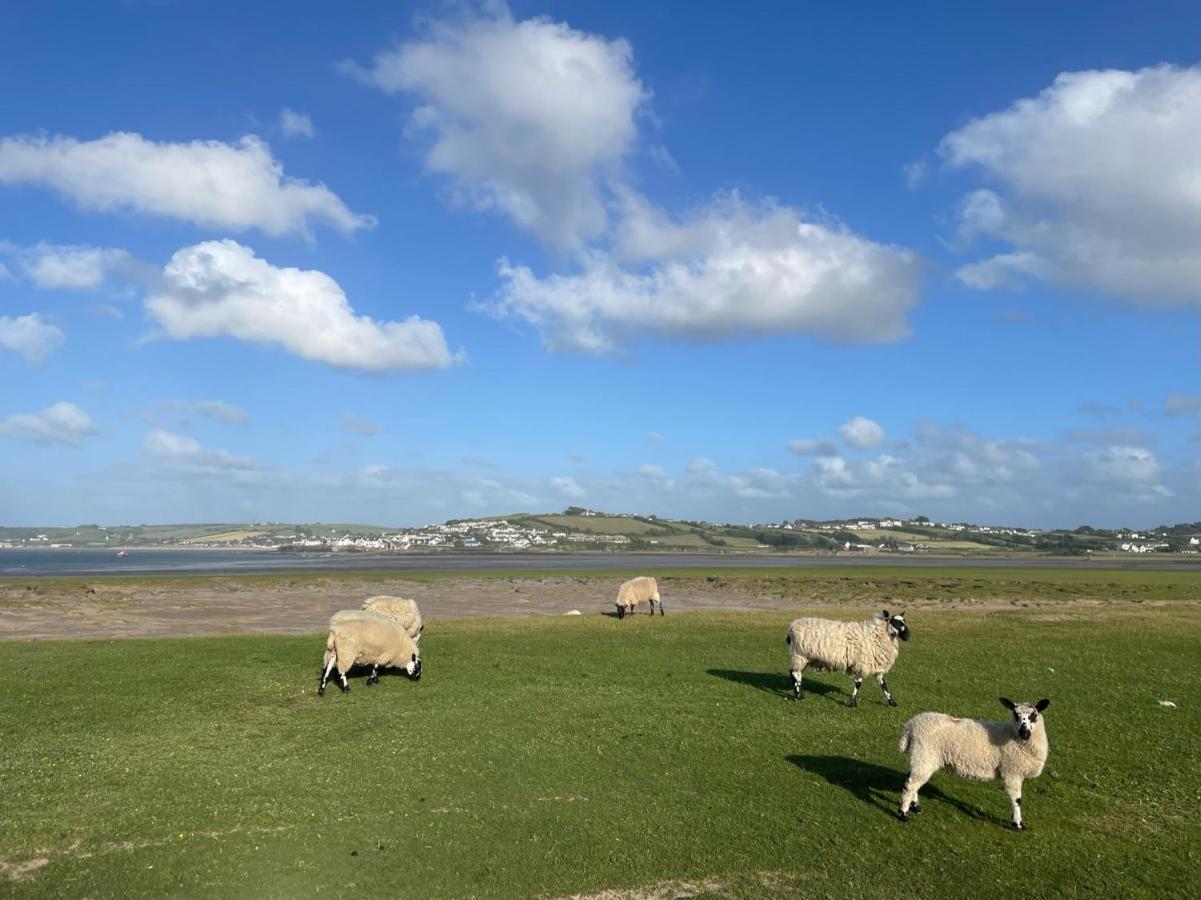 Entire Cozy Chalet In Bideford Bay Holiday Park Exteriör bild